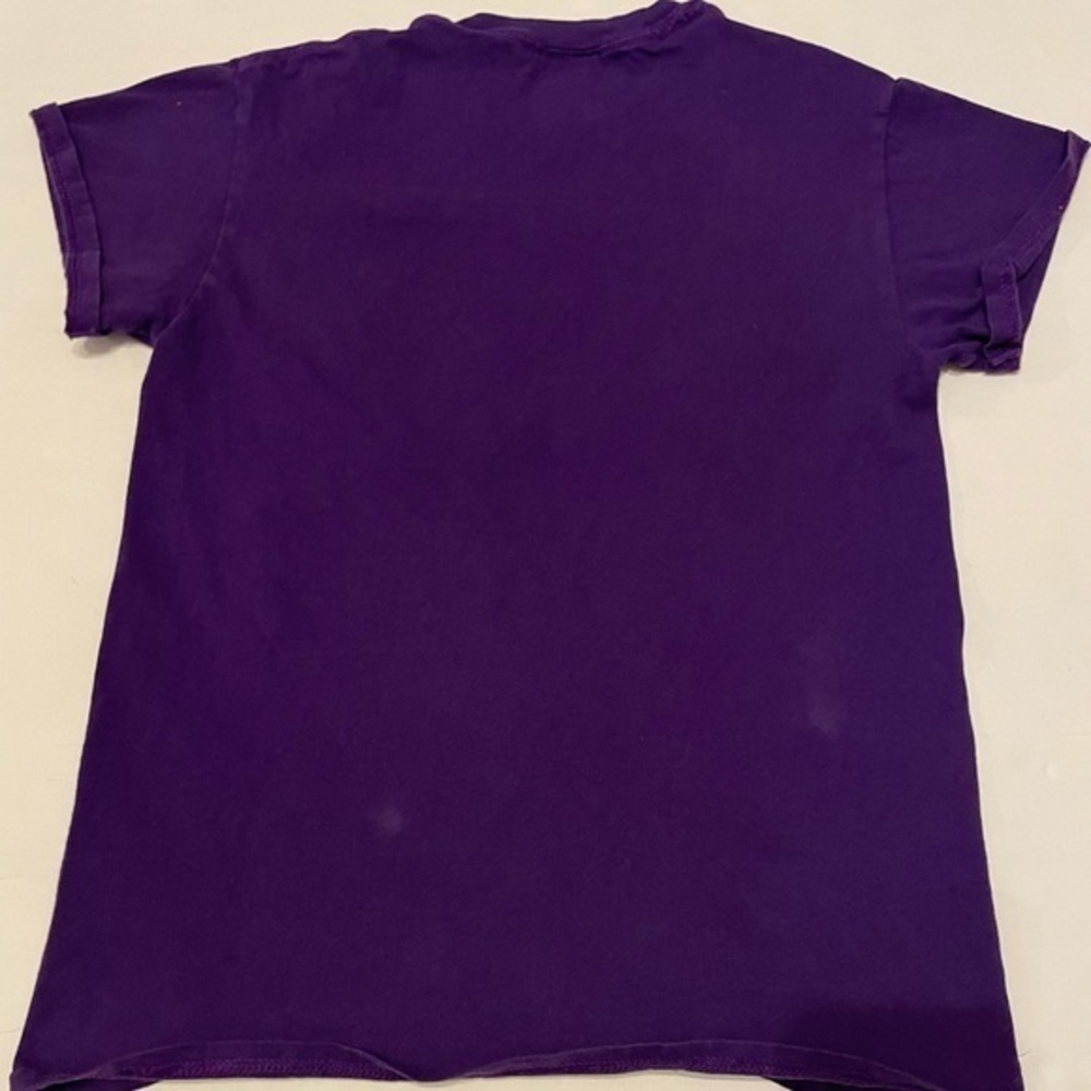 Thrasher Magazine Flame Logo Purple Graphic T-Shirt Mens Small Skateboarding Tee - Picture 7 of 8